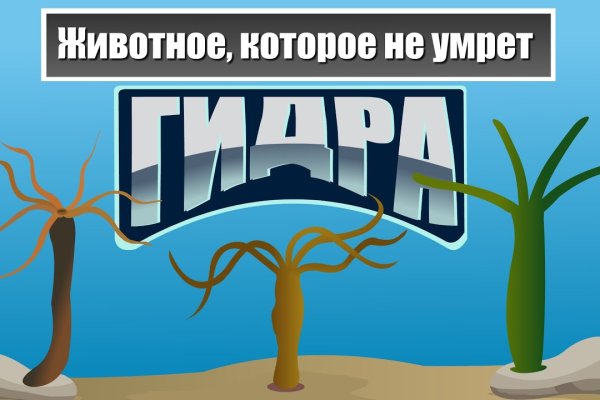 Kraken tor зеркало