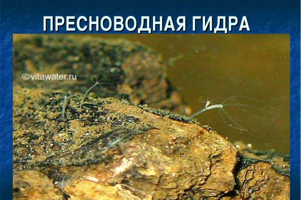 Как найти настоящую кракен даркнет ссылку